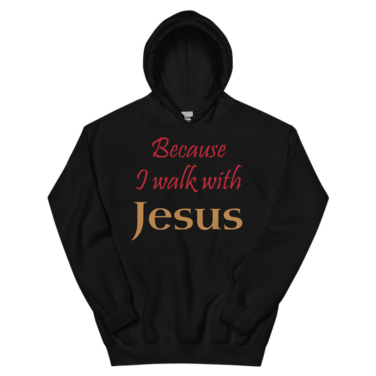 Because I Walk With Jesus Hoodie